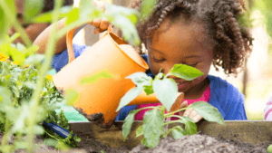 easy garden for kids | kids gardening tips | Family gardening 