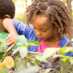 Family Gardening tips | Gardening tips for families